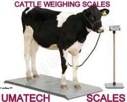 cow-weighing-scales-250x250